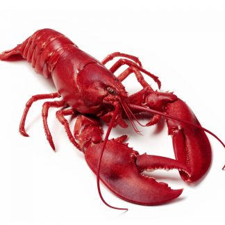 HOMARD CUITS SOUS GLACE 300G
